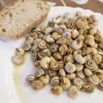 caracoles casafrio