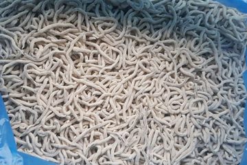 Gula enharinada_Casafrío